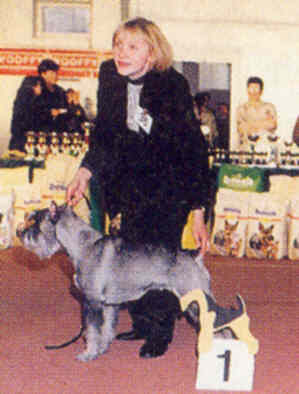 Фемида на Чемпионате шнауцеров-2001